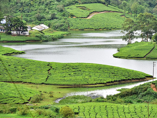 Meghamalai
