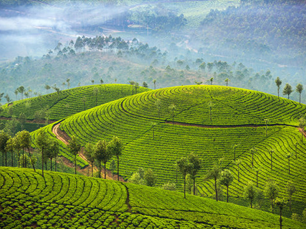 Munnar